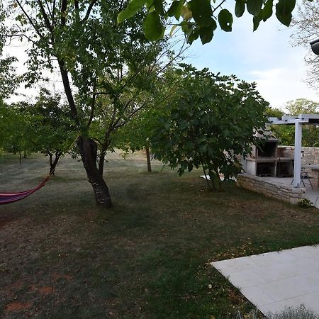 Holiday Home Brhanici Svetvinčenat Kültér fotó